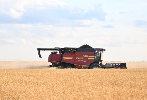 Kazakhstan reveals progress in early crop harvest across nation's Kostanay