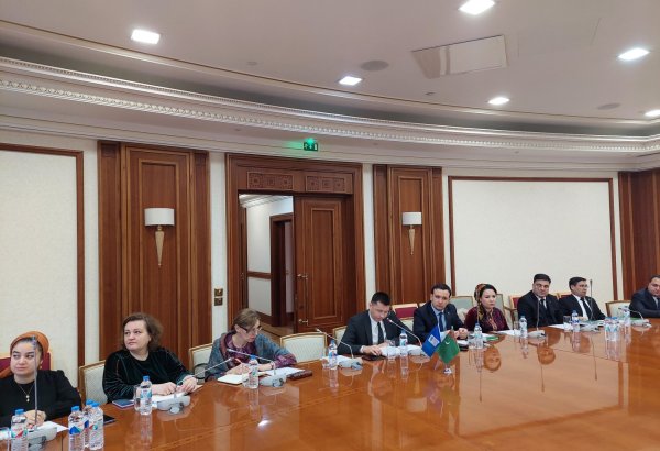 Turkmenistan explores WTO tax guidelines at UNDP-led webinar