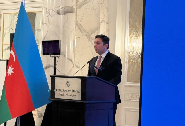 Azerbaijan keen to support successful SDG implementation in next years - deputy minister