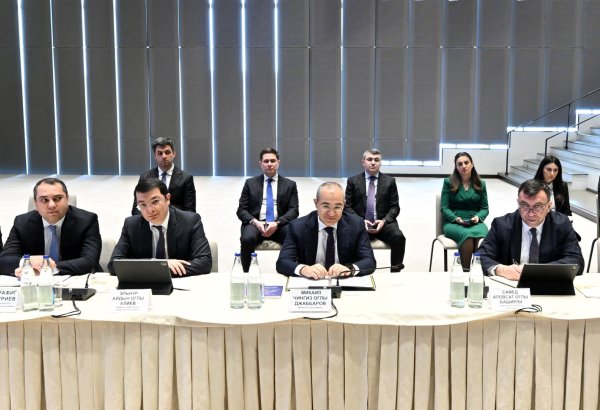 Azerbaijan, Russia's Tatarstan discuss priority areas of economic cooperation