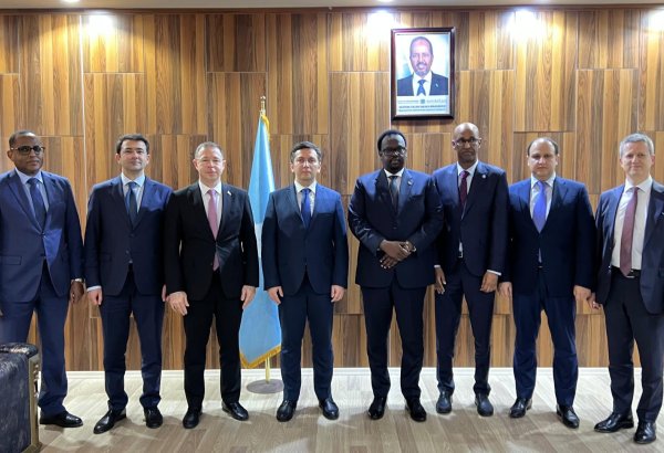 Azerbaijan, Somalia negotiate cooperation within international organizations