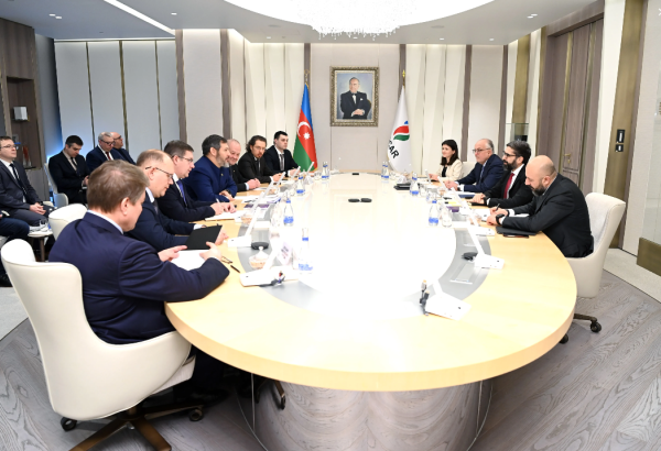 SOCAR обсудила возможности сотрудничества с татарстанскими компаниями