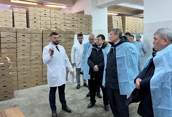 North Kazakhstan region sees expansion in dairy and meat processing industries