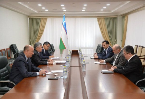 Uzbekistan, Iran discuss development of bilateral relations