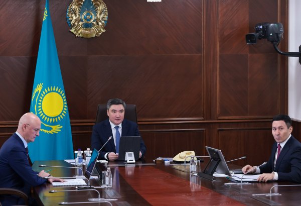 Kazakhstan’s Samruk-Kazyna outlines major investment projects for 2025
