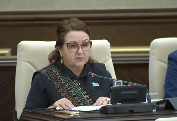 Kazakhstan considers draft law on foreign agents amid scandals surrounding USAID