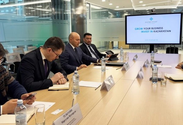Бразильская  WEG планирует выйти на рынок Азербайджана