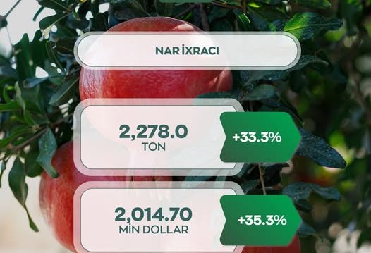 Azerbaijan tallies pomegranate exports for Jan. 2025