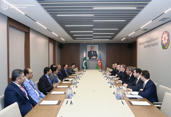 Azerbaijani FM reinforces strategic ties at talks with Pakistan's senate chairman