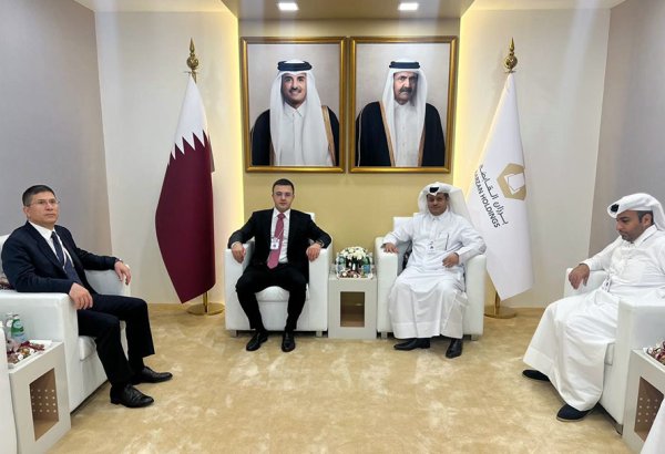 Azerbaijan, UAE kicking tires on military-technical cowork prospects in Abu Dhabi (PHOTO)