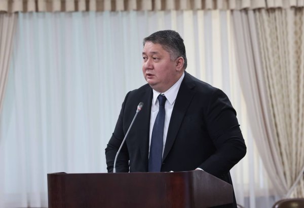 Kazakhstan looking into rolling out new domestic flights