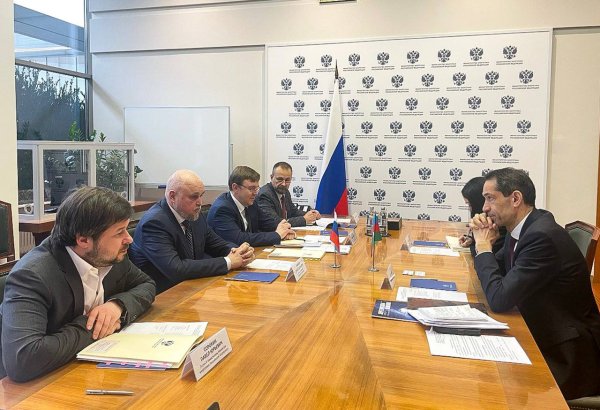 Обсуждено сотрудничество между Азербайджаном и Россией в электроэнергетической сфере (ФОТО)