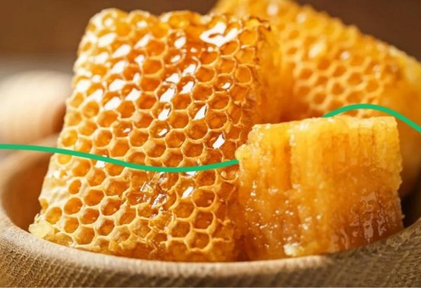 Kazakhstan’s honey exports hit new heights in 2025