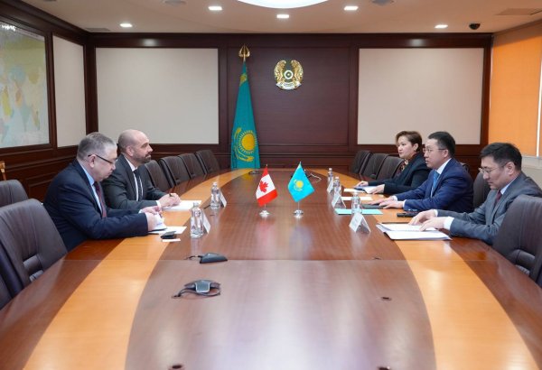 Kazakhstan, Canada debate prospects for dev't of aviation industry