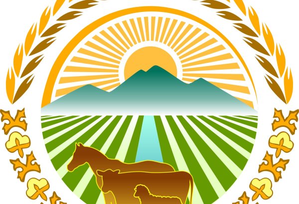Kyrgyz authorities draw attention to price swings in essential goods
