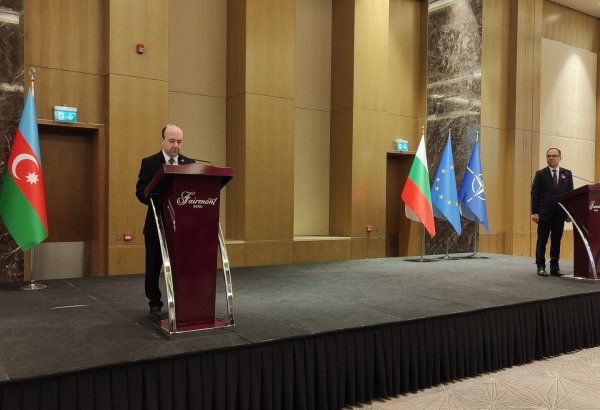 Azerbaijan remains key gas supplier for Bulgaria - deputy FM