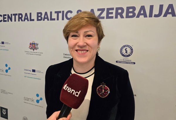 Сотрудничество между Азербайджаном и странами Центральной Балтии продолжится в новом формате
