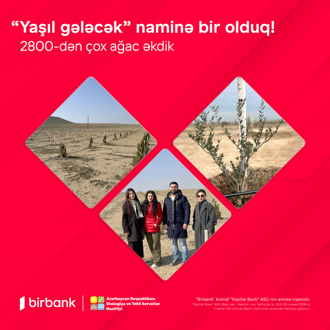 Сотрудники и клиенты Birbank посадили более 2800 деревьев ради «Зеленого будущего»