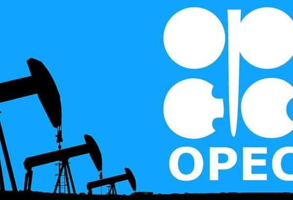 OPEC sees stronger oil demand in non-OECD regions in 2025
