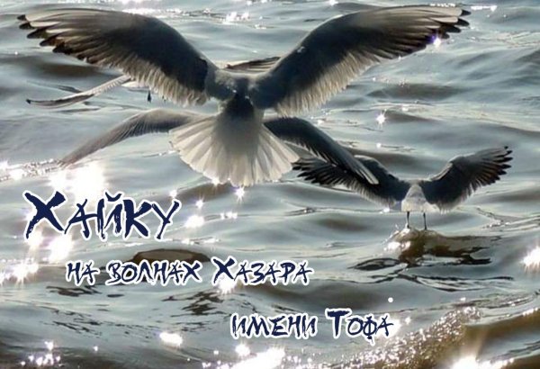 В Азербайджане пройдет V Республиканский конкурс "Хайку на волнах Хазара имени  Тофа"