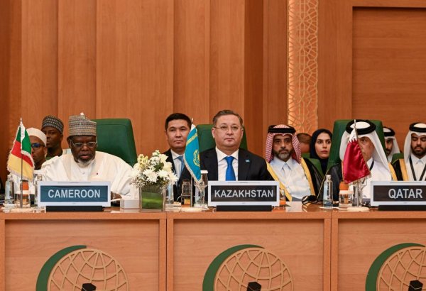 Kazakhstan urges collective OIC effort on Syrian stabilization and Palestine ceasefire