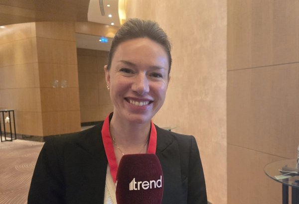 Spanish business expresses interest in hydrogen production in Azerbaijan (Exclusive)