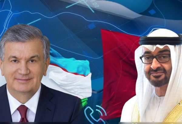 Uzbekistan's Mirziyoyev tends to blossoming potential partnership with UAE
