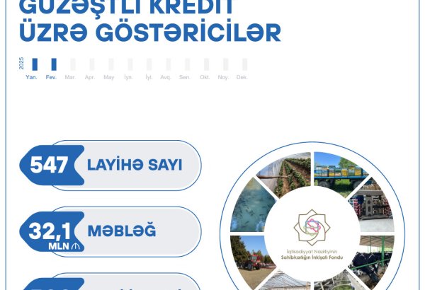 Azerbaijan provides substantial support for business projects in early 2025