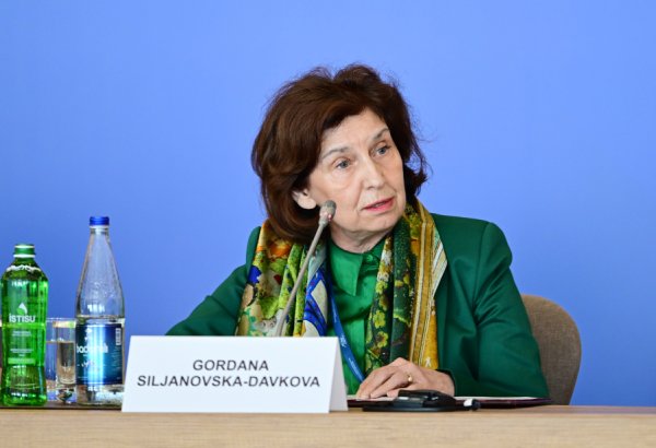 UN becoming polarizing institution - North Macedonian president