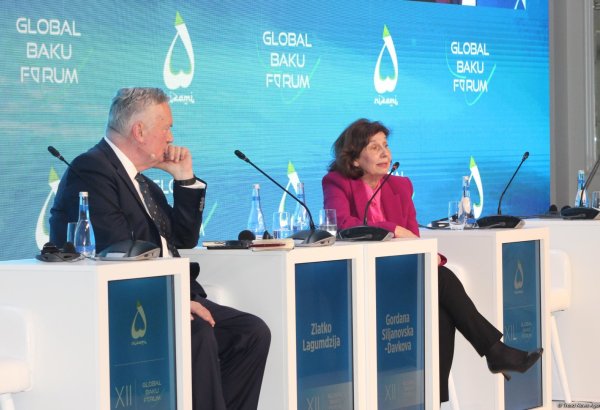 Global institutions need reforms - North Macedonian president