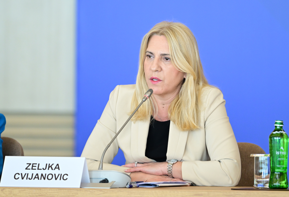 Желка Цвиянович поздравила Президента Ильхама Алиева с праздником Новруз