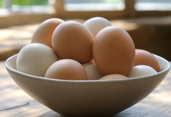 Kazakhstan temporarily forbids egg imports to spur local production