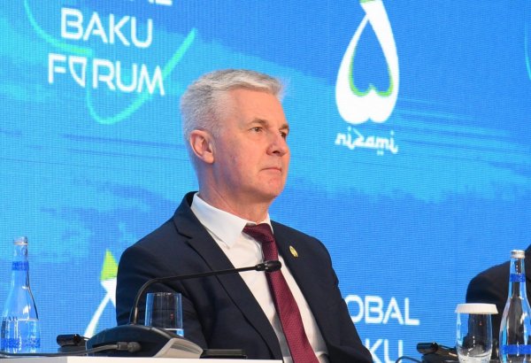 Small, medium-sized nations drive efforts for more equitable global order - official