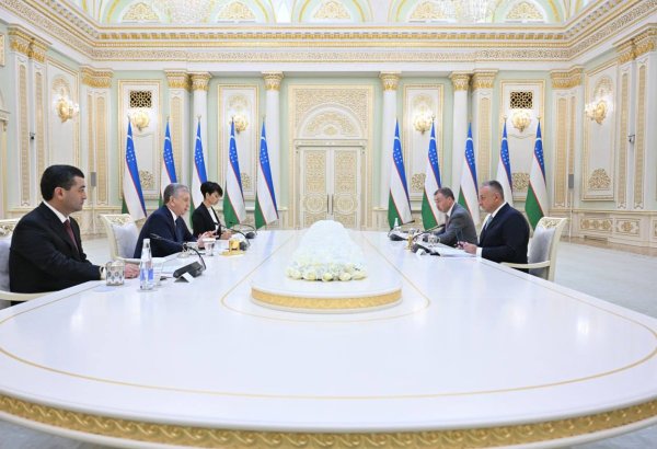 Uzbekistan, EU discuss co-op on critical mineral resources