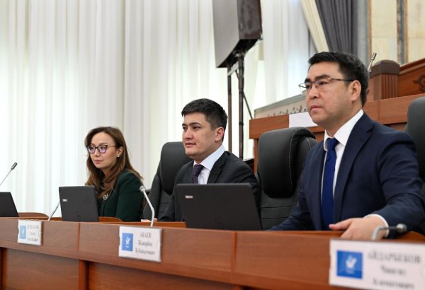 Парламент Кыргызстана одобрил законопроекты по кыргызско-таджикской границе