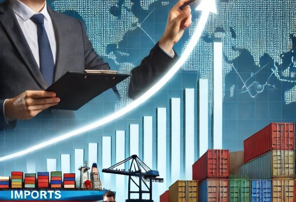 Выросла доля физлиц в импорте продукции в Азербайджан