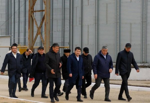 Kazakhstan resumes operations of grain terminal in nation's Mangistau region