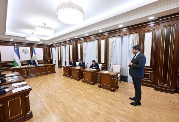 Uzbekistan develops joint action plan with IAEA for 2025-27