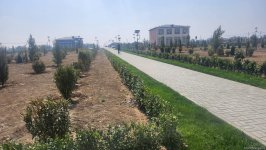 В селе Сарыджалы Агдамского района планируется строительство 425 частных домов в два этапа (ФОТО)