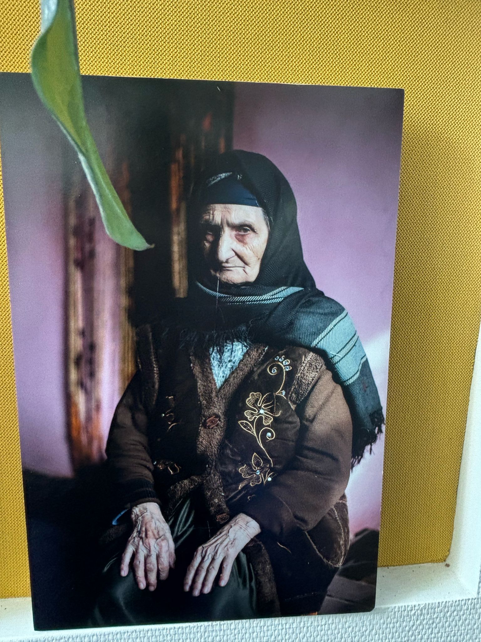 Из отдаленных сел Азербайджана во Францию - весеннее вдохновение (ФОТО)