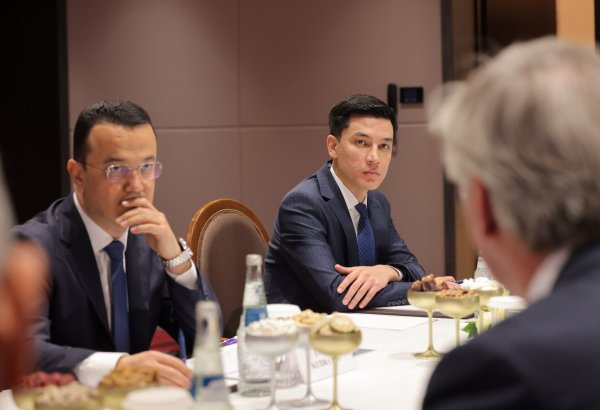 Uzbekistan, Air Products discuss new projects on carbon dioxide capture