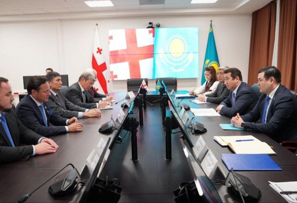 Georgian Global Olive begins olive farming and processing initiative in Kazakhstan