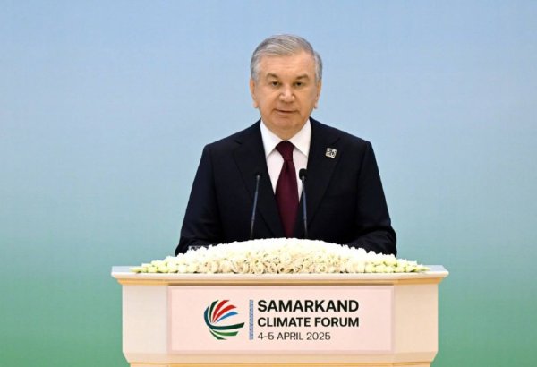 Президент Узбекистана предложил подписать соглашение о стратегическом партнерстве тюркских государств на саммите в Баку