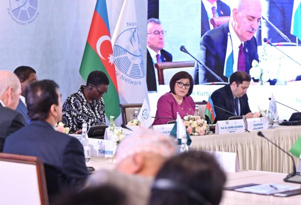Bandung principles continue to hold their relevance - Azerbaijani speaker