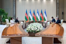 Сахиба Гафарова встретилась с Президентом Узбекистана Шавкатом Мирзиёевым (ФОТО)