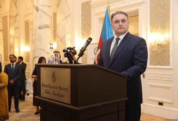 Azerbaijani minister foretells nation's post-D-8 accession prospects