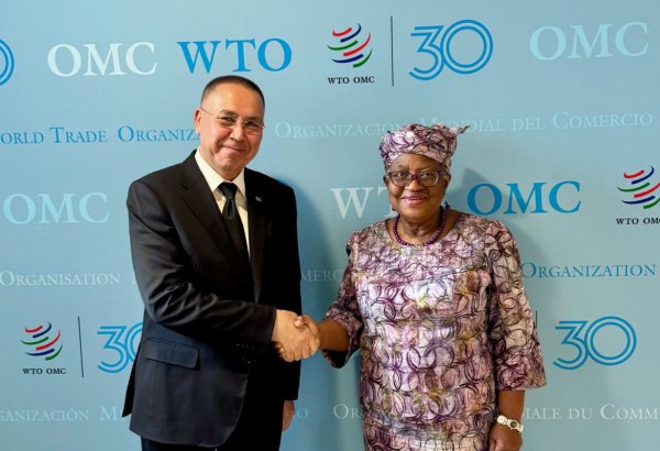 Turkmenistan reaffirms commitment to WTO integration in Geneva meeting