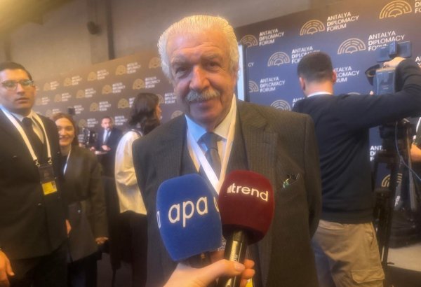 Russia's TASS news agency official commends Antalya Forum deliverables