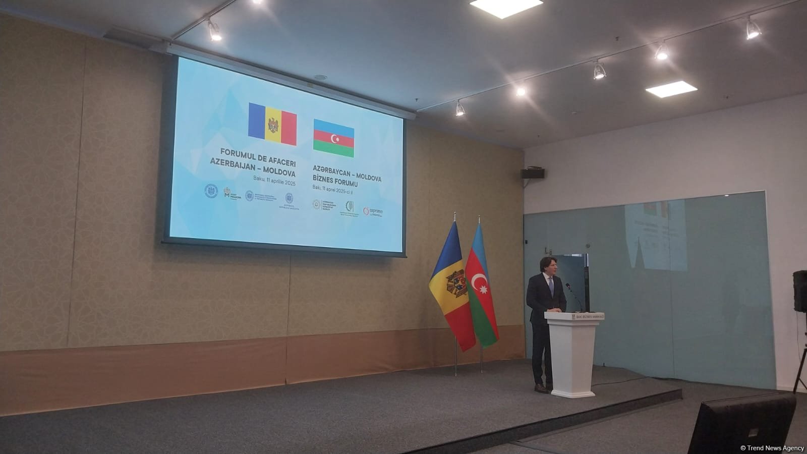 Moldova invites Azerbaijani investors to dive into privatization pool of state enterprises