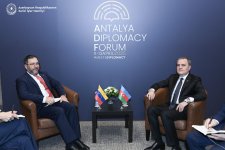 Обсуждено сотрудничество Азербайджана и Венесуэлы на многосторонних платформах (ФОТО)